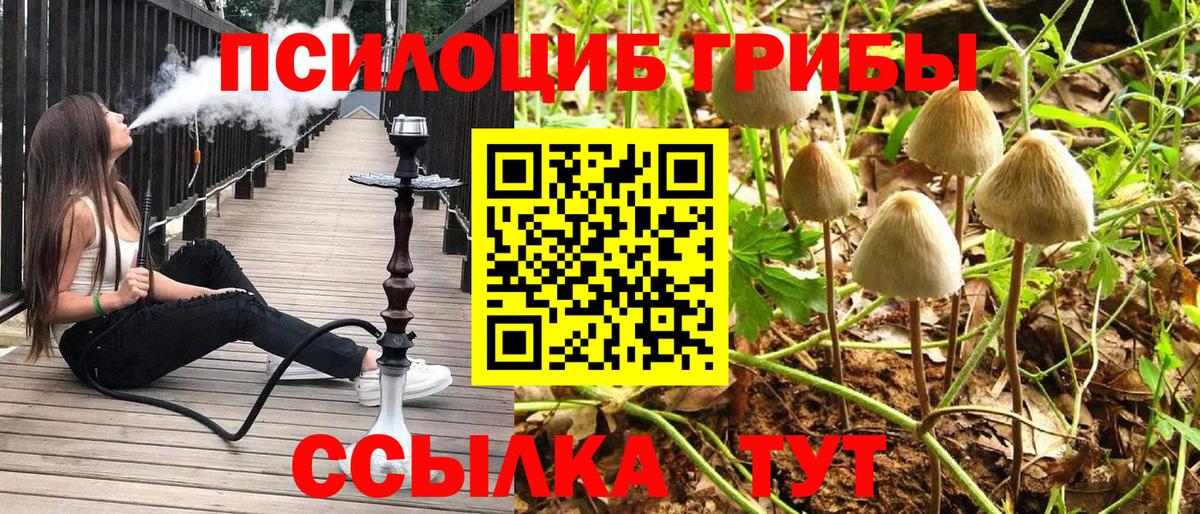 Муром  Псилоцибиновые грибы Psilocybe  Вход с VPN  Псилоцибиновые грибы Magic Shrooms 