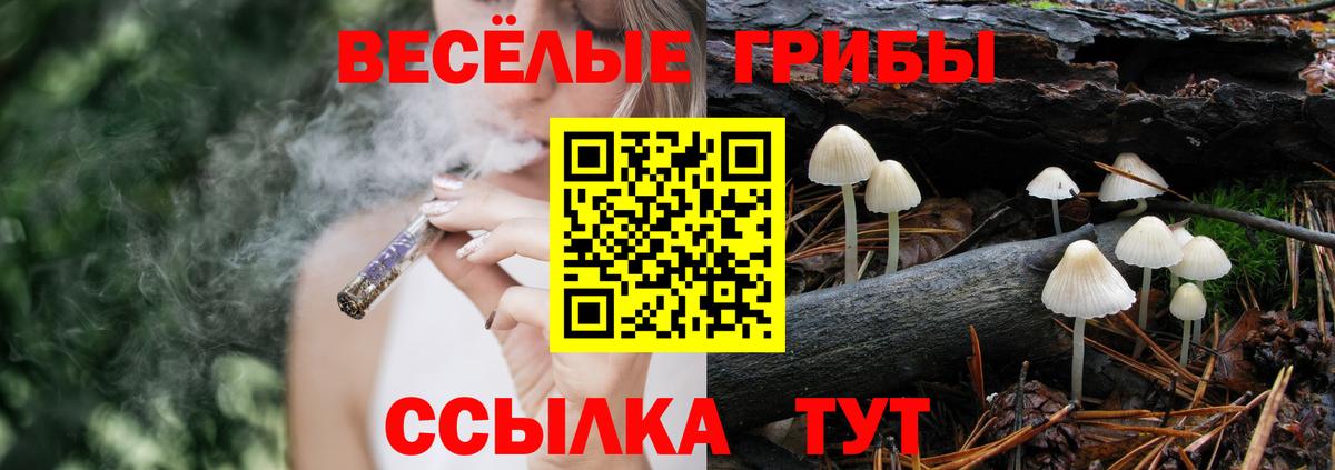 Псилоцибиновые грибы MAGIC MUSHROOMS Муром